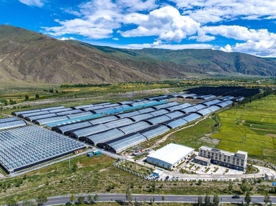 チベットでは高原と伝統文化の特色持つ現代産業体系が構築中