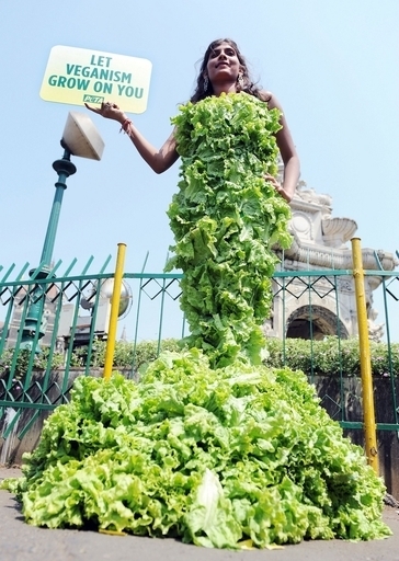 新鮮レタスドレスで「完全菜食主義」をアピール、PETA