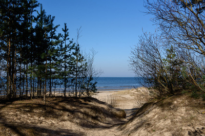 下水処理場の壁崩落、汚泥が海に大量流出し海岸閉鎖 ラトビア
