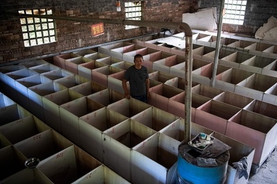 ネズミやヘビの繁殖業者、コロナで打撃 補償額足りず 中国