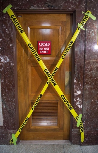 世界最古のトコジラミ、米オレゴンの洞窟で半化石発見