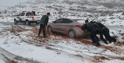 新疆の一部地区で雨と雪 局地的に積雪20センチも