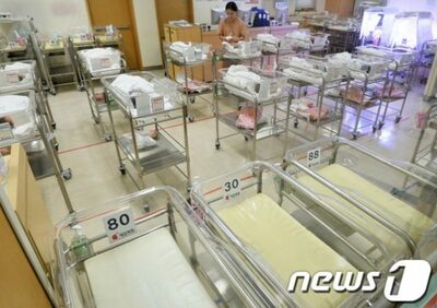 韓国で増える“非婚族”…「1人世帯」全体の3分の1