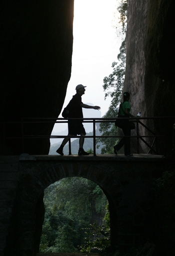 レユニオン島など新たに6つを世界遺産に登録、ユネスコ