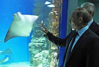 プーチン露大統領、モスクワの水族館を訪問