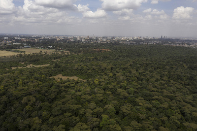 カルト教団の捜査進展、3人の遺体発見 ケニア