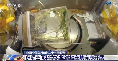 宇宙での食糧栽培技術が向上 水稲2世代を連続栽培する実験が進行中