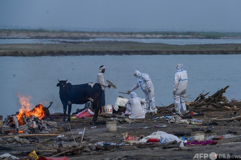 ガンジス川岸に遺体数十体漂着 コロナ犠牲者か インド 写真8枚 国際ニュース Afpbb News