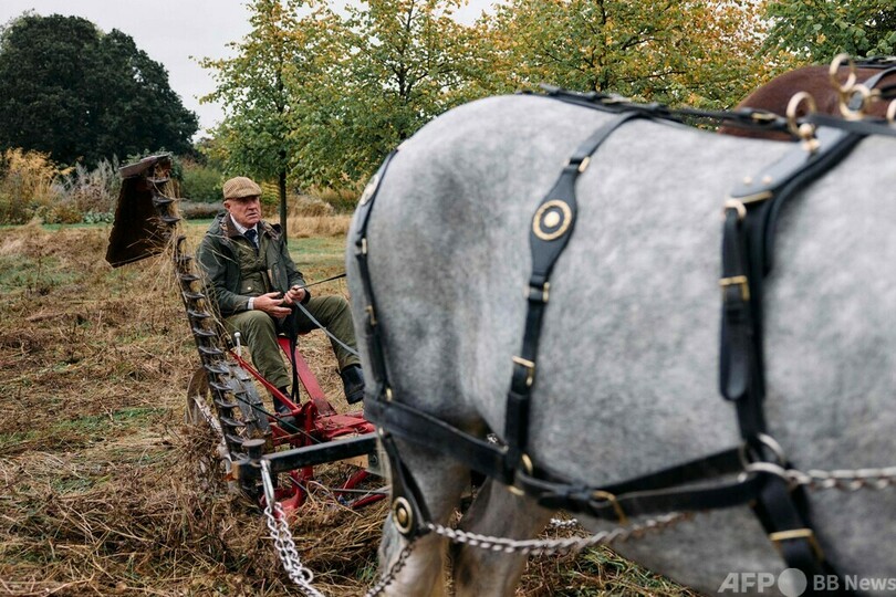 英ケンジントン宮殿の草刈りは馬にお任せ 持続可能な伝統手法