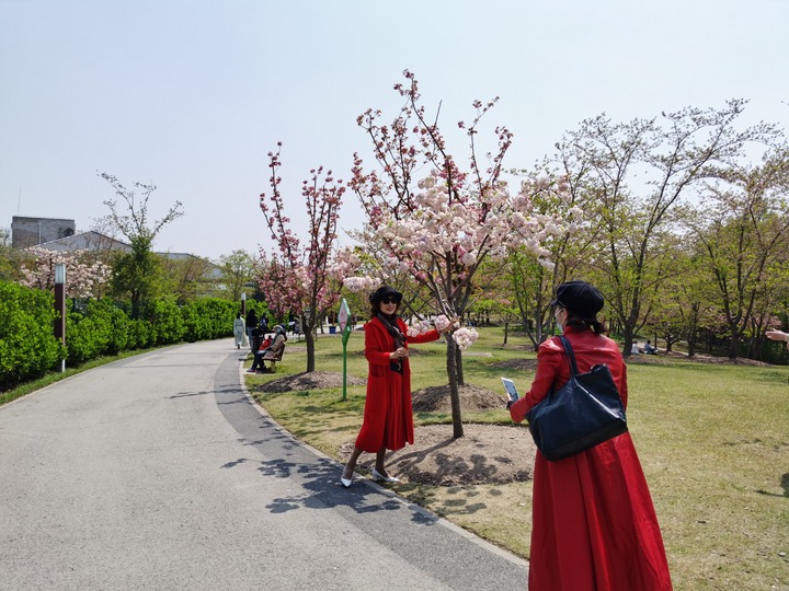 インターネットがけん引 中国の 桜経済 写真10枚 国際ニュース Afpbb News
