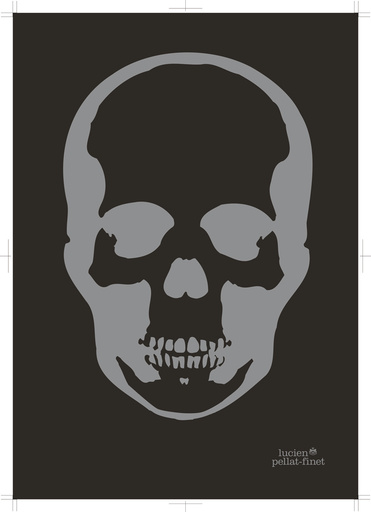 ルシアン　ペラフィネ　スカルデザインアート作品（黒フレーム） img_3fd84a48e6c3fd814546c39ae1