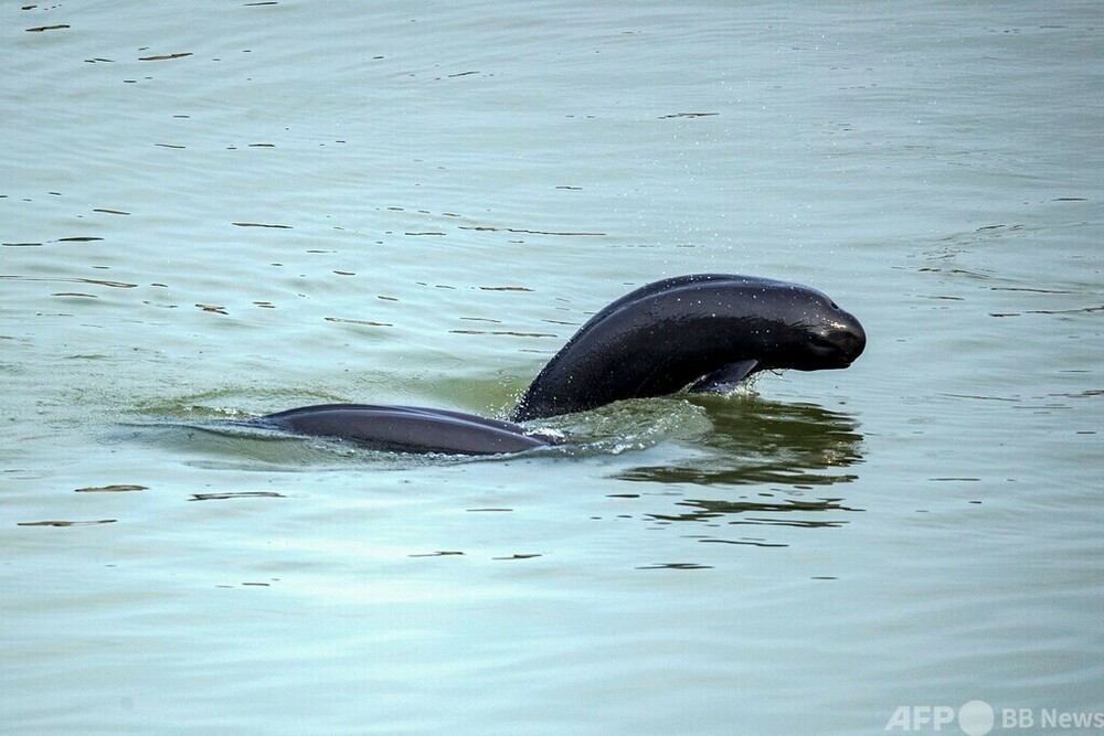 内皮を健康に保つ方法