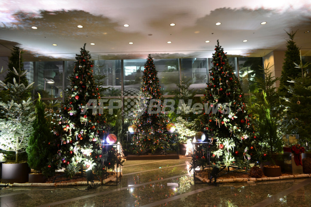クリスマス直前！華やかな5つ星ホテルのスペシャルツリー 写真14枚