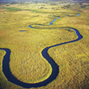 ボツワナのオカバンゴ湿地帯。(c)Relaxnews/Istock.com/Gleb_Ivanov