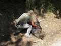 スペイン北部アストゥリアス自治州のムニエジョス自然保護区で発見されたヒグマの死骸を調べる男性。「ヒグマ財団」提供（2016年9月9日撮影、12日提供）。(c)AFP/FUNDACION OSO PARDO-FOP
