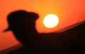 2007年11月19日、サウジアラビアの首都リヤド（Riyadh）の郊外で砂漠ツアーに参加する観光客。(c)AFP/HASSAN AMMAR