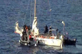 ソマリア沖のアデン湾（Gulf of Aden）でフランスのヨット「Tanit」号が海賊に乗っ取られた事件で、仏海軍の特殊部隊が行った人質救出作戦の様子。

仏海軍の特殊部隊は10日、人質救出作戦を決行。人質5人のうち3歳の子どもを含む4人を救出したが、ヨットの所有者の男性1人が死亡した。海賊は2人が射殺され、3人が拘束された。（2009年4月10日仏軍提供）(c)AFP/ECPAD