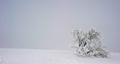 寒い気候が続くドイツでは、各地で雪と氷の世界が見られる。

写真は、気温が氷点下となった西部シュミッテン（Schmitten）近郊のグローサーフェルトベルク（Grosser Feldberg）山の雪と氷に覆われた風景（2013年1月24日撮影）。(c)AFP/NICOLAS ARMER