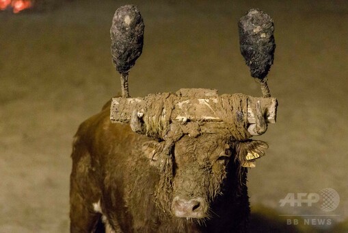 スペインの伝統行事「火の牛」、角にはたいまつ 写真9枚 国際ニュース