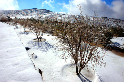 砂漠の国・アラブ首長国連邦の山が雪化粧