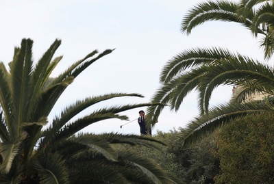 ウッズ、体調不良で途中棄権 ジェネシス招待2日目