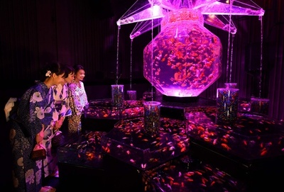 江戸の「涼」を金魚で演出、日本橋で展示会