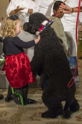 オバマ家の愛犬サニー、パーティーの最中に「暴走」？