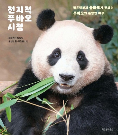 韓国の書店街、再びパンダブーム…「全知的フーバオ視点」ベストセラー1位