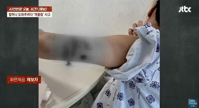 婚約者の目の前で襲撃…韓国・結婚式を壊した“逃げ犬”と飼い主の逆ギレ対応