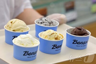 韓国アイス市場に高級化の波、ベンソンやヴァン・ルーウェンが相次ぎ参入