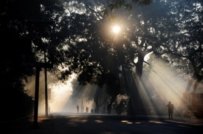 石油枯渇後は「人工の葉っぱ」が主要エネルギー源に？ 科学者ら提唱