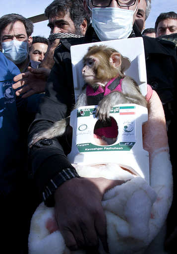 イラン、再びサルを宇宙に 「無事帰還」と発表