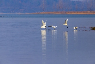 中国最大の淡水湖 鄱陽湖の水位は持続的回復
