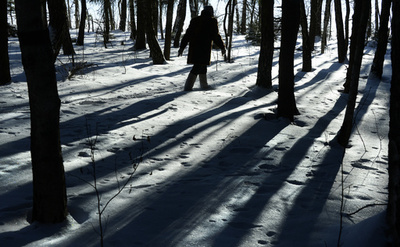 トナカイ牧場から1週間歩いて警察へ 3人殺害自首 ロシア極東