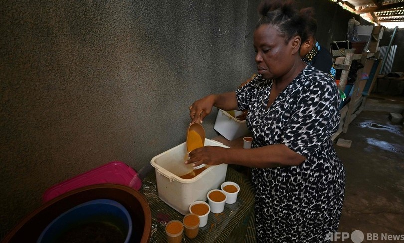 有機農業でさようなら貧困 コートジボワールの女性たち