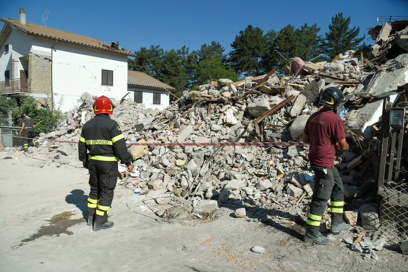 地震発生から16日、がれきから猫2匹を救出 イタリア