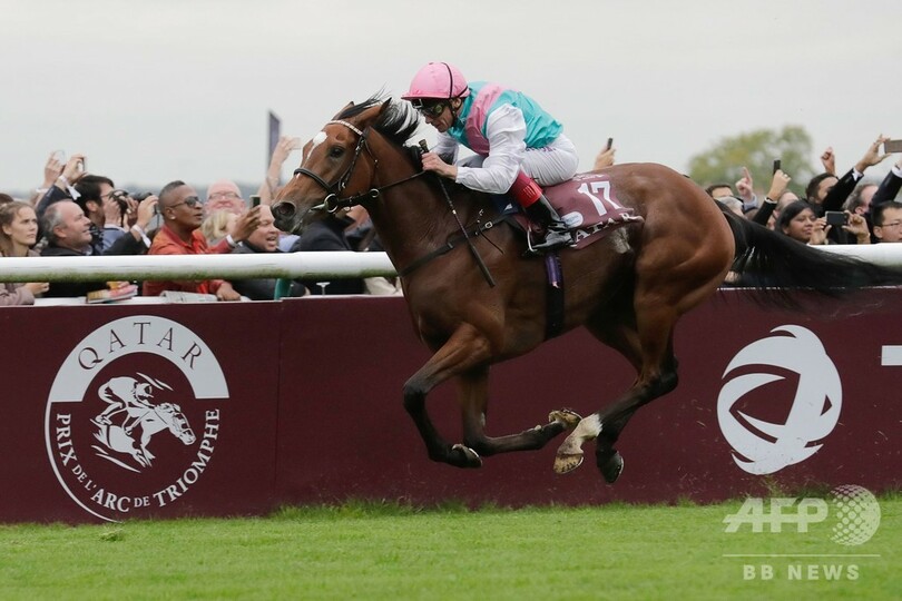 フランキー・デットーリ騎手 直筆サイン ジョッキーパンツ 競馬 | www