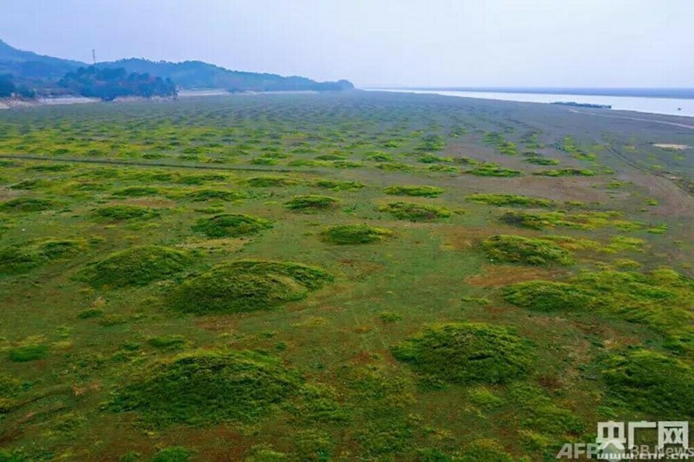 長江上流のダムから中下流へ再度補水 中国水利部 写真1枚 国際ニュース:AFPBB News