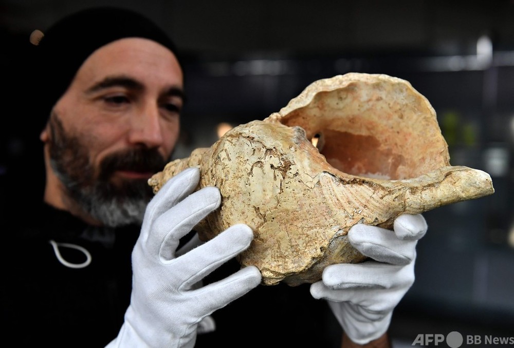 1.8万年前の「ド・ド＃・レ」 仏洞窟で発見の巻き貝の笛 写真10枚 国際