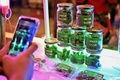 タイ中部ナコンパトム県で開催された大麻の合法化を祝うイベント「タイランド420: リーガルレーオ⁉」で、販売される大麻（2022年6月11日撮影）。(c)Lillian SUWANRUMPHA / AFP