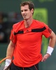 男子テニス、カタール・エクソンモービル・オープン（Qatar ExxonMobil Open 2014）シングルス2回戦。ポイントを失い落胆するアンディ・マレー（Andy Murray、2014年1月1日撮影）。(c)AFP/MARWAN NAAMANI