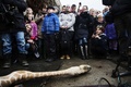 デンマークのコペンハーゲン動物園（Copenhagen Zoo）で、近親交配を防ぐために殺処分されたキリンのマリウス（2014年2月9日撮影）。(c)AFP/SCANPIX DENMARK/KASPER PALSNOV

