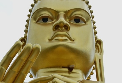 黄金の巨大仏像にスズメバチの巣、スリランカ世界遺産