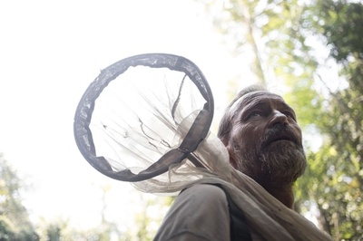 巨大なチョウのミステリー、仏遠征隊が調査 中央アフリカ