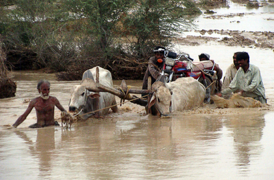 パキスタン南西部の豪雨で死者17人、数千人が被災