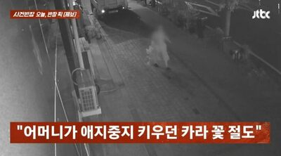 店先の鉢植え「計画的」に盗む？…韓国・防犯カメラに映った2人組の手口