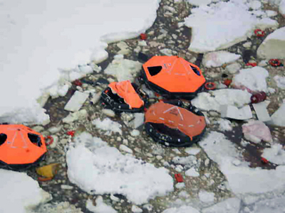 南極海で沈没した客船の乗客、帰国へ　英国・チリ当局は事故船の不備を指摘