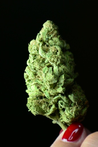 マリフアナには害があると考える10代若者が減少、米調査