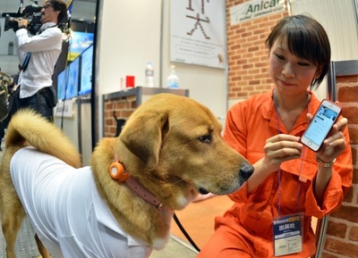 ペット向けの製品も登場、「ウェアラブルEXPO」開幕