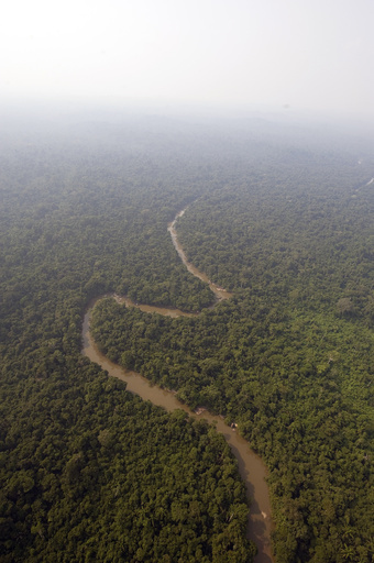カナダの不明男性、南米アマゾンで保護 失踪から5年